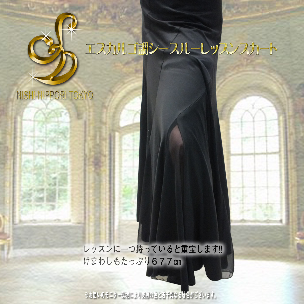 escargot_style_see_through_lesson_skirt