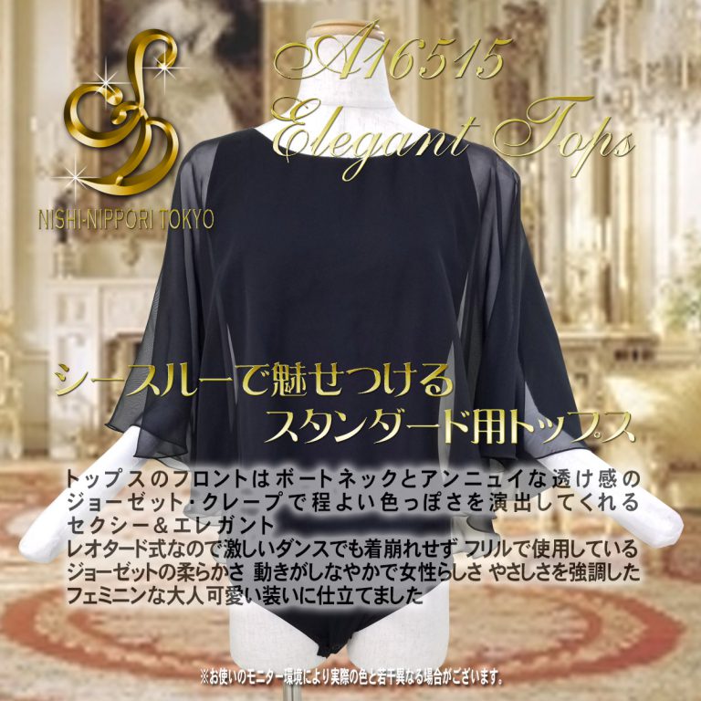 白樺ドレスオリジナルウェア　StylishMove　社交ダンスウェア　ダンスウェア　シースルーウェア　レオタードウェア