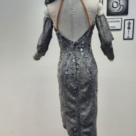 【試着・レンタル・購入】エリザベスカラーが印象的な、グレーのラテン社交ダンスドレス - 画像 (3)