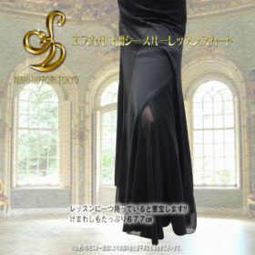 エスカルゴ調シースルーレッスンスカート - 画像 (3)