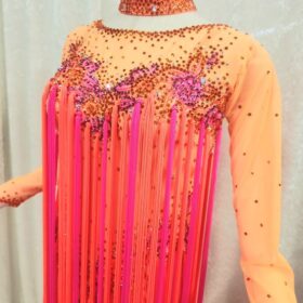【試着・レンタル・購入】華やかなLサイズフリンジたっぷりラテンドレス - 画像 (5)