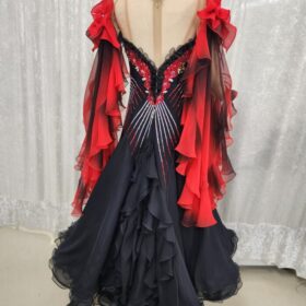 お袖のグラデーションがステキな黒のスタンダードドレス - 画像 (3)