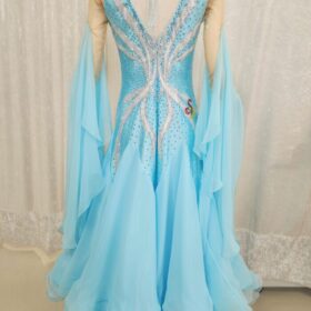 うすブルーのワルツ向きスタンダードドレス - 画像 (3)
